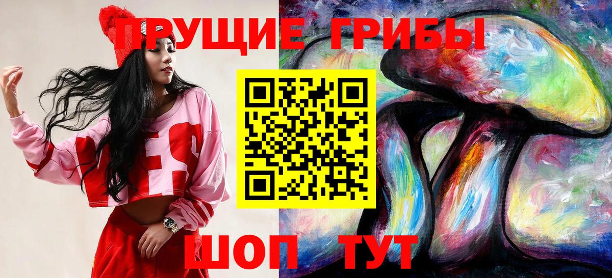 Псилоцибиновые грибы прущие грибы  Вход с VPN  Псилоцибиновые грибы прущие грибы  где найти   Черняховск 